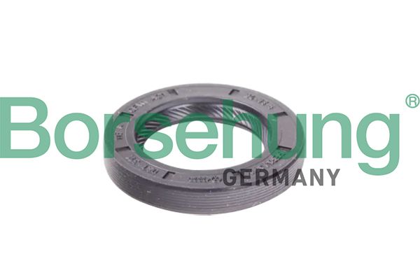 Borsehung B12191 Shaft Seal, manual transmission