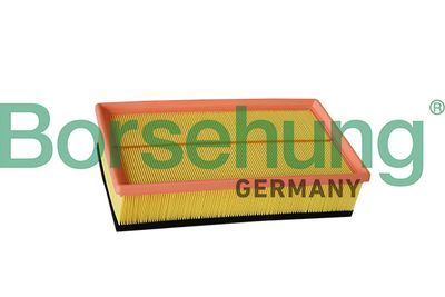 Air Filter Borsehung B12218