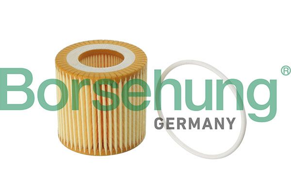 Borsehung B12219 Oil Filter