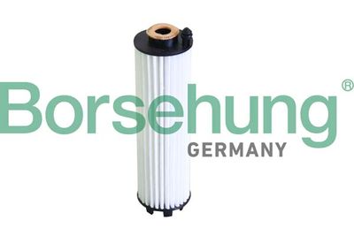 Oil Filter Borsehung B12289