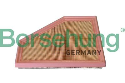 Air Filter Borsehung B12291