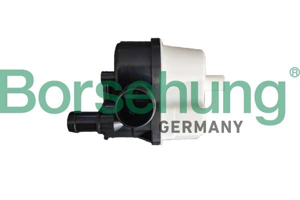 Borsehung B12300 Gas pump, EVAP active carbon tank (tank ventilation)