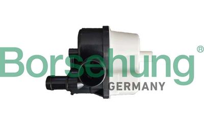 Gas pump, EVAP active carbon tank (tank ventilation) Borsehung B12300