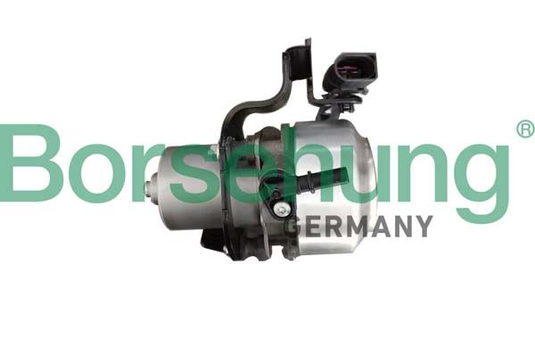 Borsehung B12301 Vacuum Pump, braking system