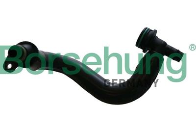 Hose, crankcase ventilation Borsehung B12306