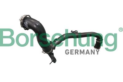 Charge Air Hose Borsehung B12352