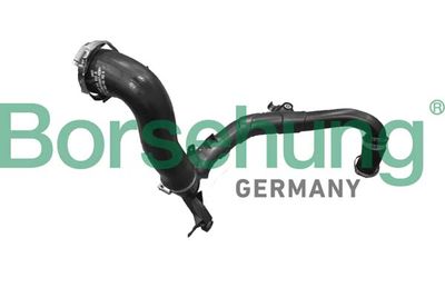 Charge Air Hose Borsehung B12353