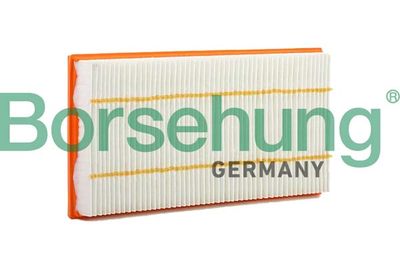 Air Filter Borsehung B12402