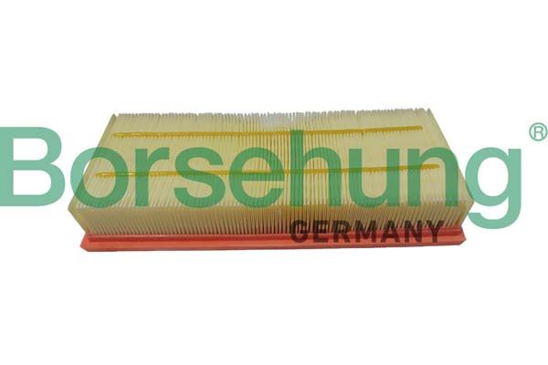 Borsehung B12403 Air Filter