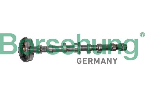 Borsehung B12413 Camshaft