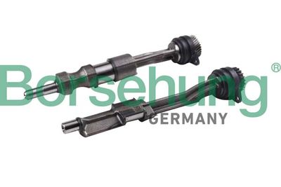 Lock Mandrel, balancer shaft Borsehung B12429