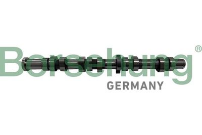 Camshaft Borsehung B12431