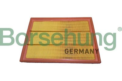 Air Filter Borsehung B12440