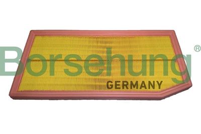 Air Filter Borsehung B12448