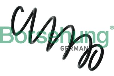 Suspension Spring Borsehung B12558