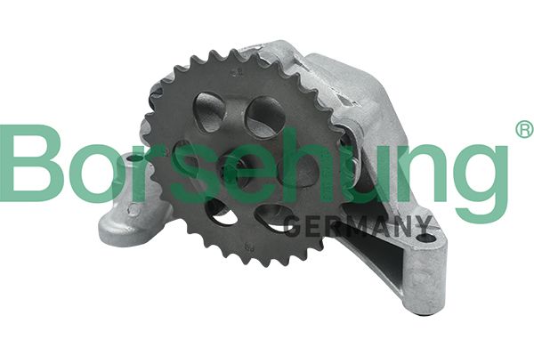 Borsehung B12689 Oil Pump