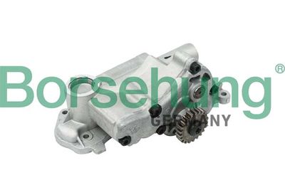 Oil Pump Borsehung B12698