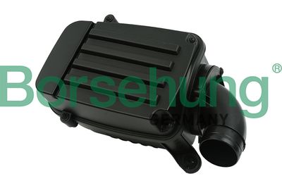 Air Filter Borsehung B12803