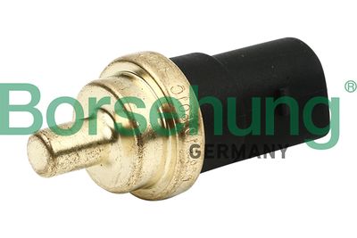 Sensor, coolant temperature Borsehung B13133