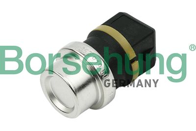 Sensor, coolant temperature Borsehung B13134