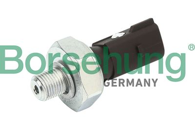 Oil Pressure Switch Borsehung B13137
