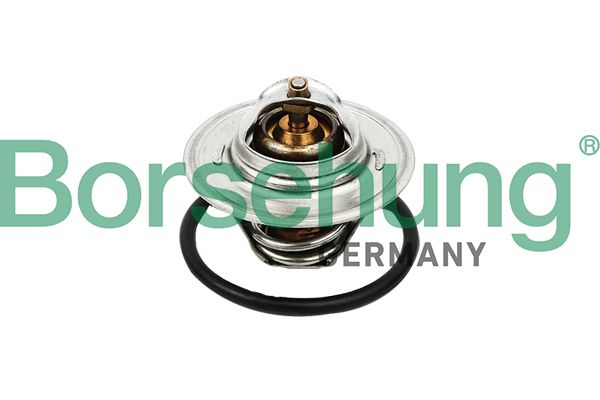 Borsehung B13140 Thermostat, coolant