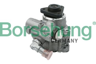 Hydraulic Pump, steering Borsehung B13208