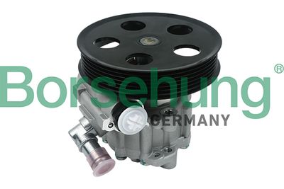 Hydraulic Pump, steering Borsehung B13214