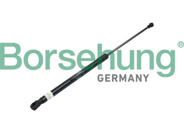 Borsehung B14189 Gas Spring, bonnet