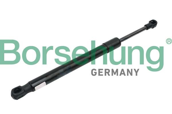 Borsehung B14190 Gas Spring, boot/cargo area