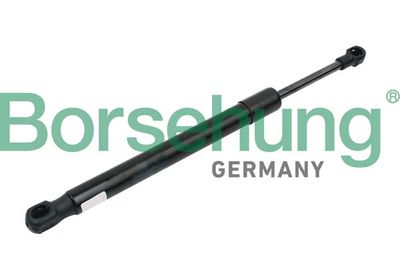 Gas Spring, boot/cargo area Borsehung B14190