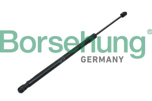 Borsehung B14195 Gas Spring, boot/cargo area