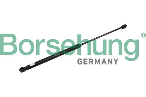 Borsehung B14203 Gas Spring, boot/cargo area