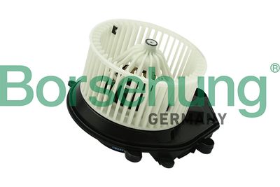 Interior Blower Borsehung B14595