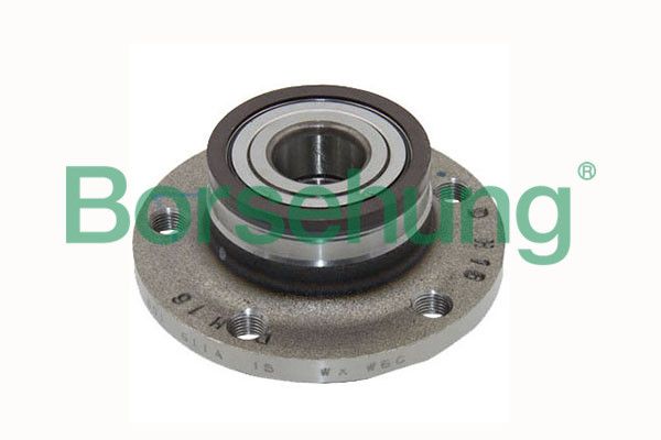Borsehung B15621 Wheel Bearing Kit