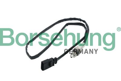 Oxygen Sensor Borsehung B16930