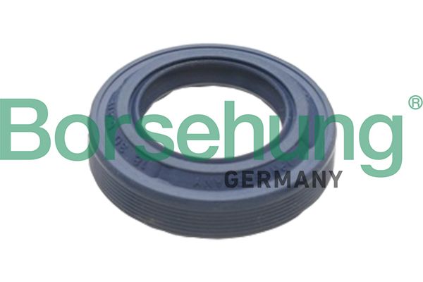 Borsehung B17828 Shaft Seal, differential