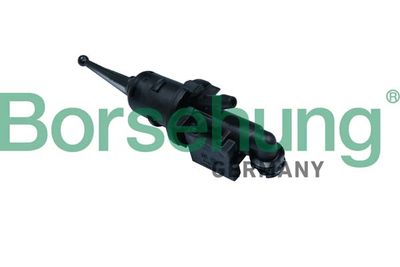 Master Cylinder, clutch Borsehung B17868