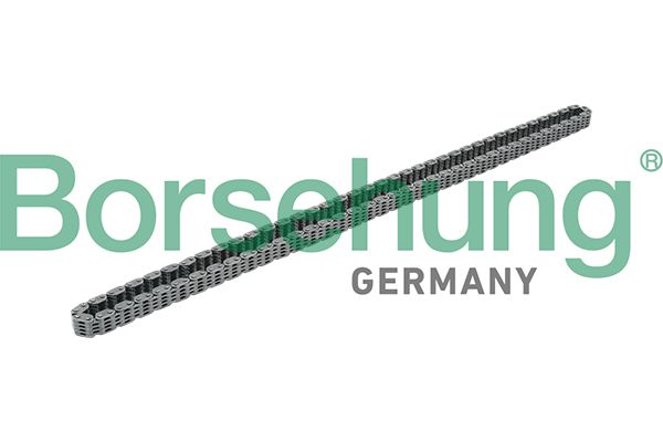 Borsehung B17876 Timing Chain
