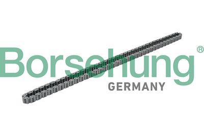 Timing Chain Borsehung B17876