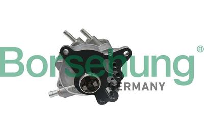 Vacuum Pump, braking system Borsehung B17906