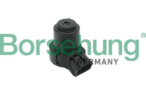 Borsehung B17994 Ignition Switch