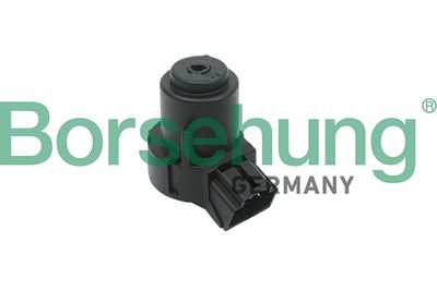 Ignition Switch Borsehung B17994