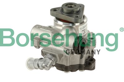 Hydraulic Pump, steering Borsehung B18223