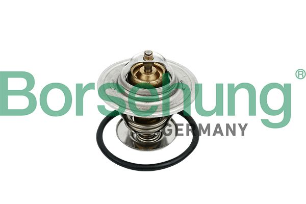 Borsehung B18259 Thermostat, coolant