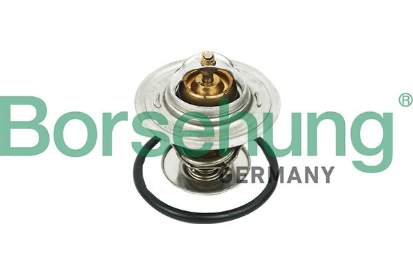 Borsehung B18268 Thermostat, coolant