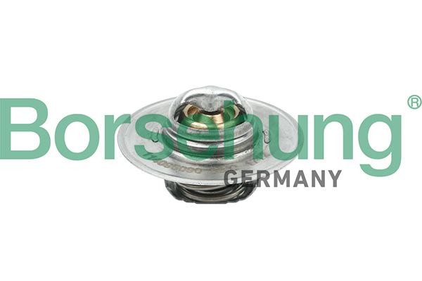 Borsehung B18280 Thermostat, coolant