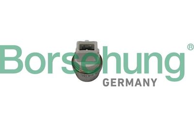 Temperature Switch, radiator fan Borsehung B18288