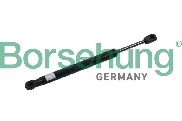 Borsehung B18438 Gas Spring, boot/cargo area