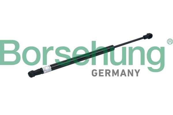 Borsehung B18443 Gas Spring, boot/cargo area